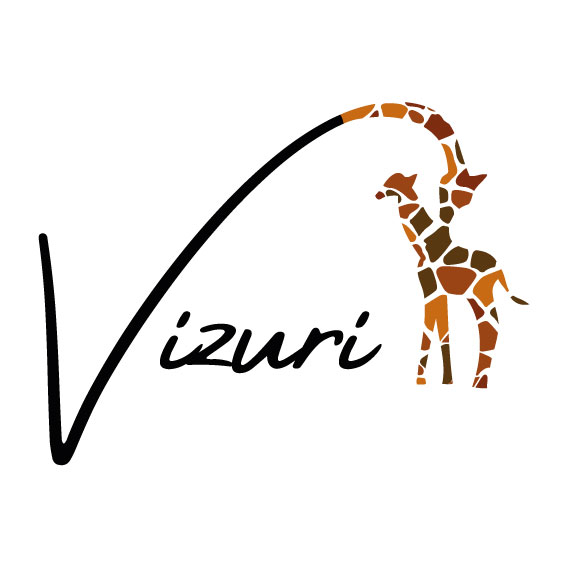 Logo_Vizuri_V01_FF_200827