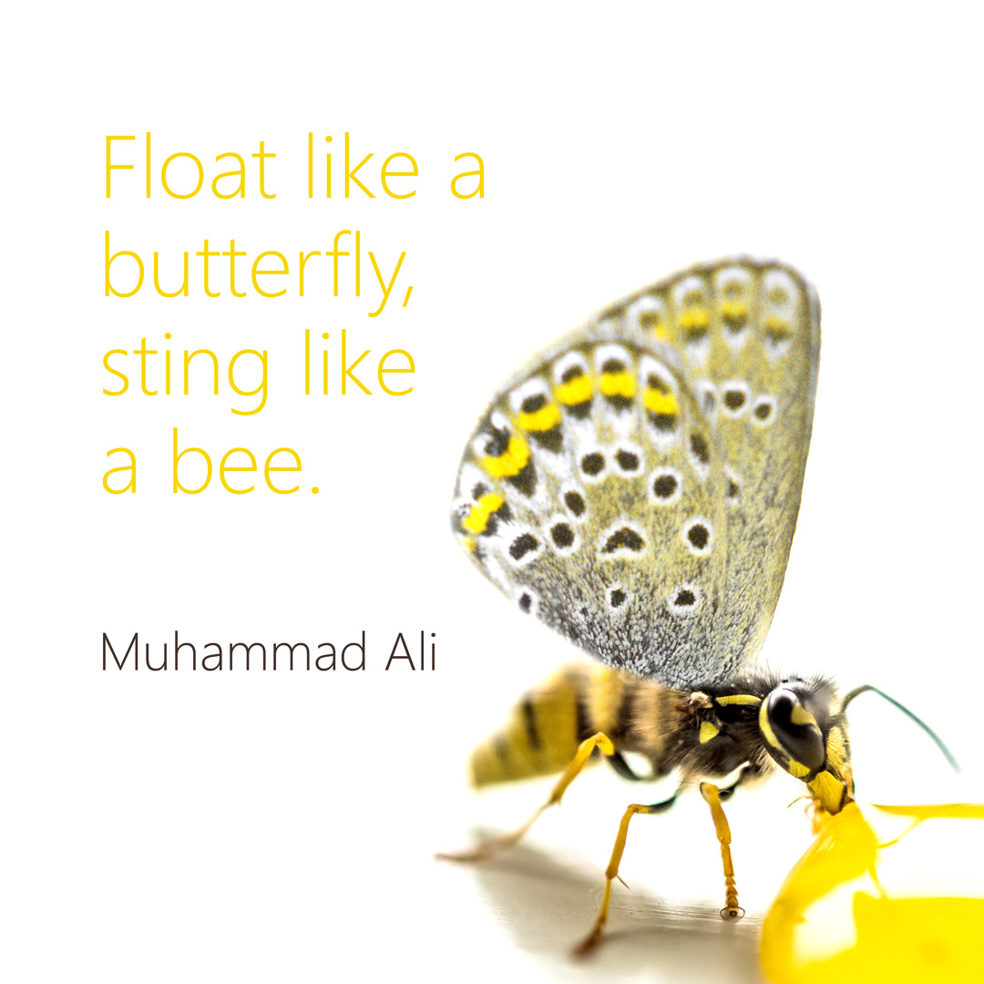 sting_like_a_bee